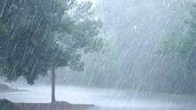 rain