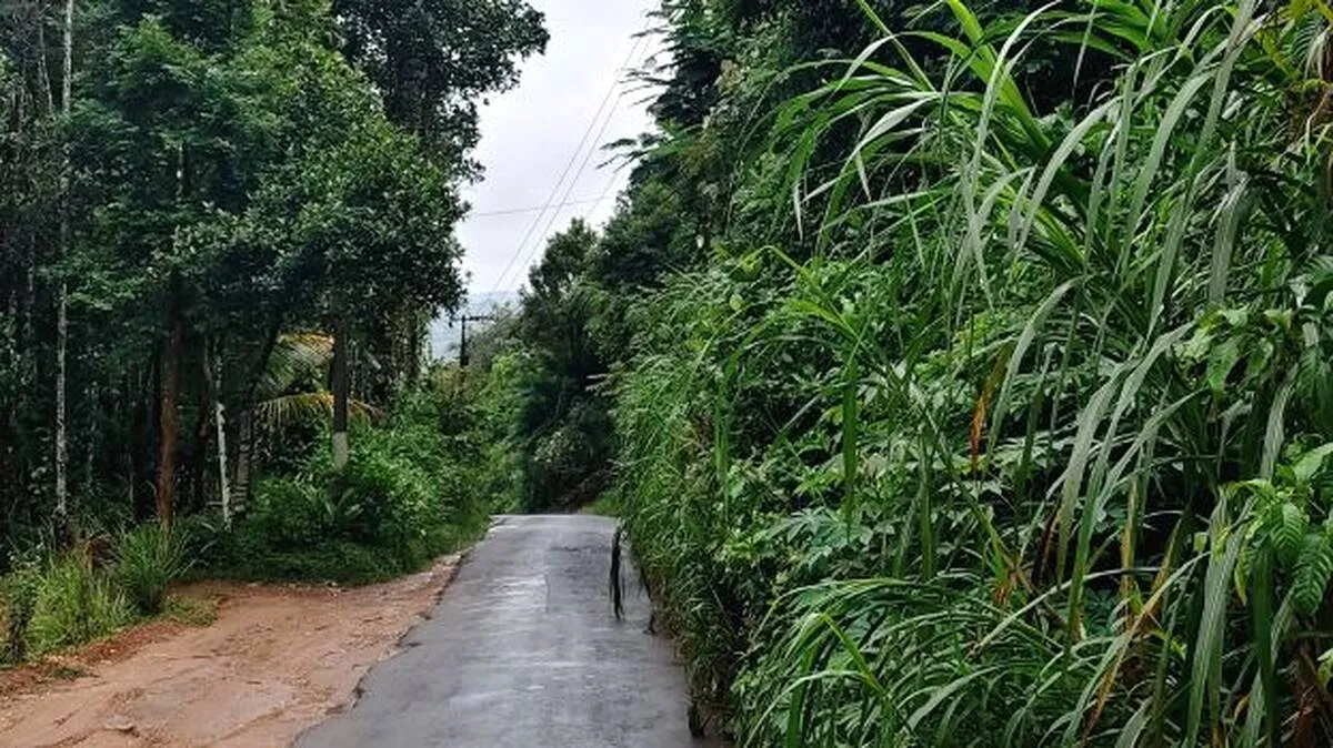 road-kenichira