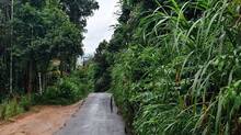 road-kenichira