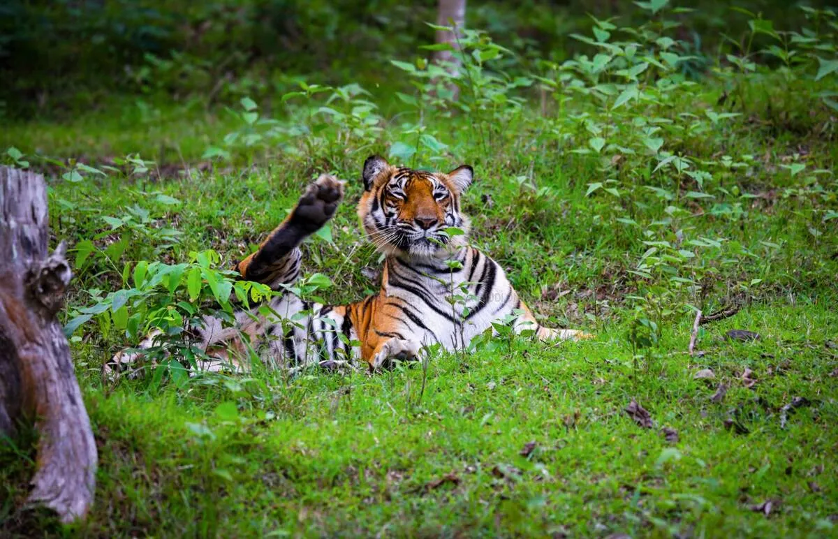 Kerala Kaumudi Photo Gallery