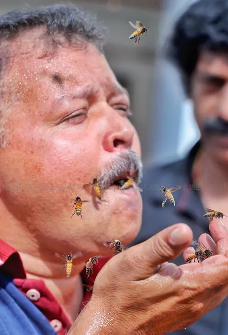 honey-bee-