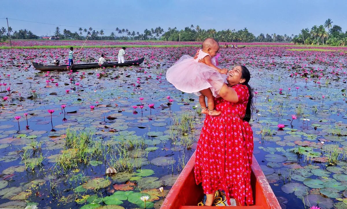 ambal-