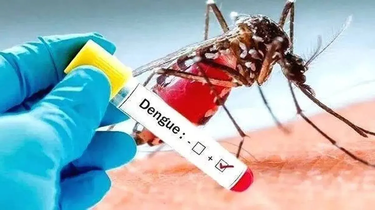fever fever