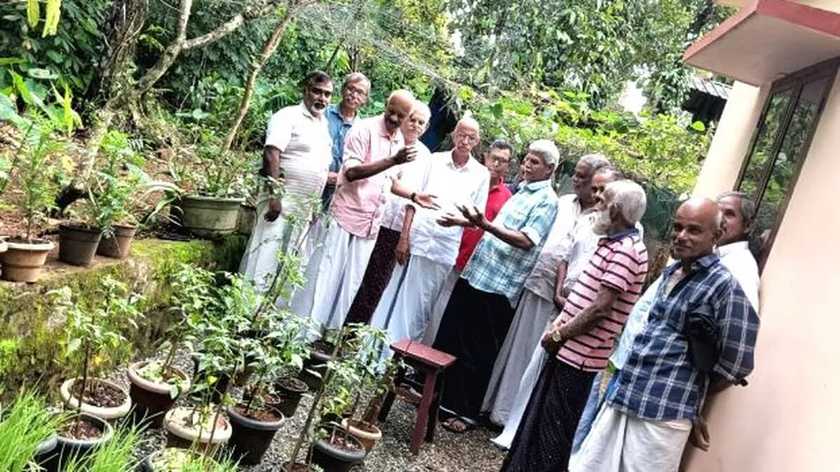 kannamalaaa kannamalaaa
