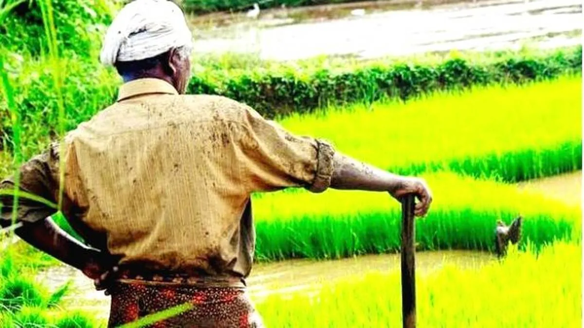 farmer farmer