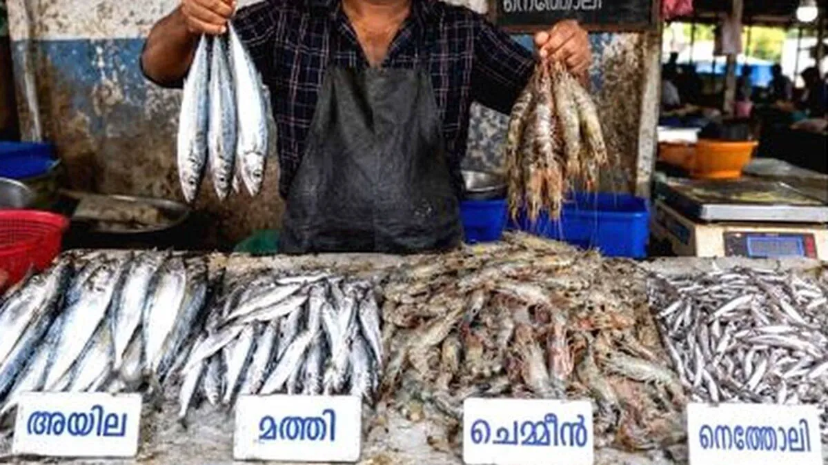 fish