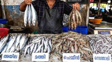 fish-price-coming-down-in-kerala-as-climate-favourable