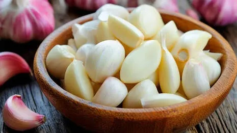 garlic.1.3911134