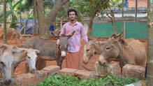donkey-milk-soap-business