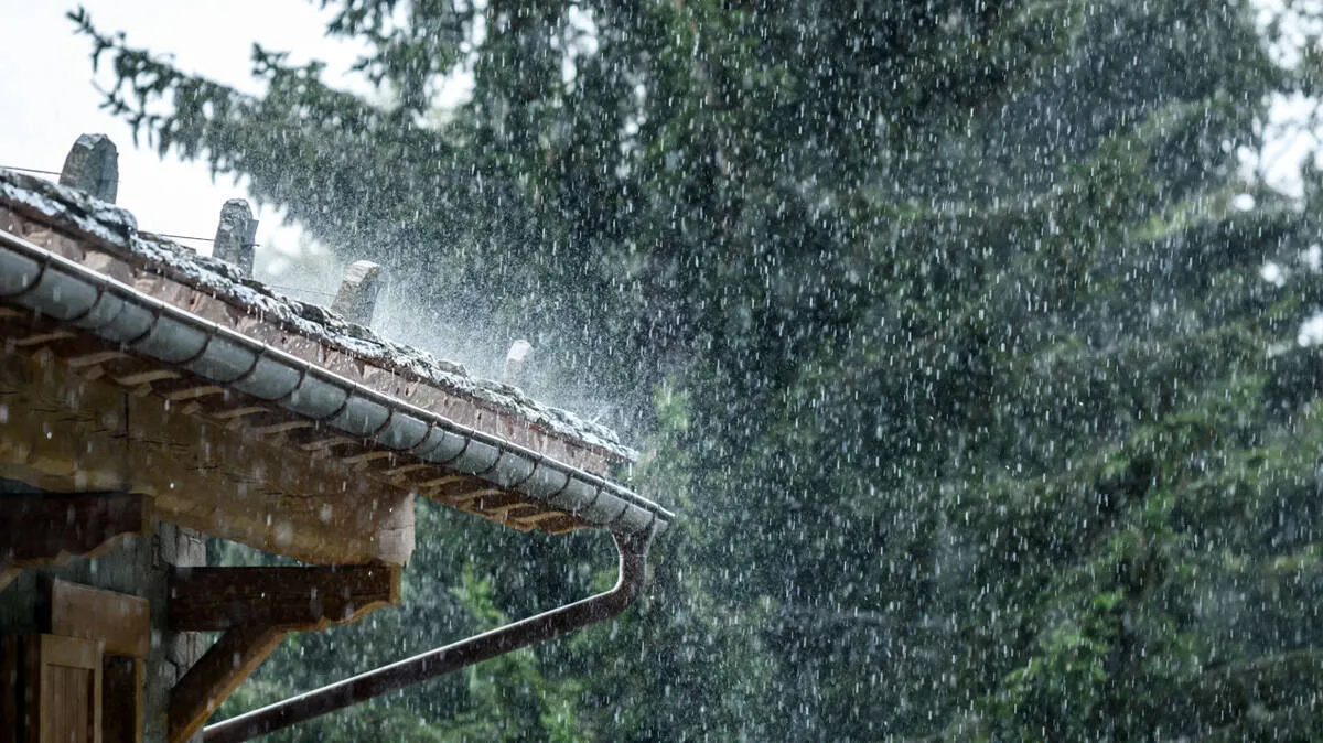 rain