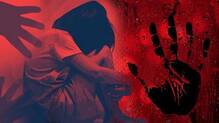 13-year-old-girl-assault-case