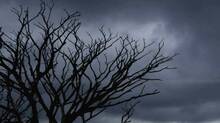 weather-update-in-keralam-now