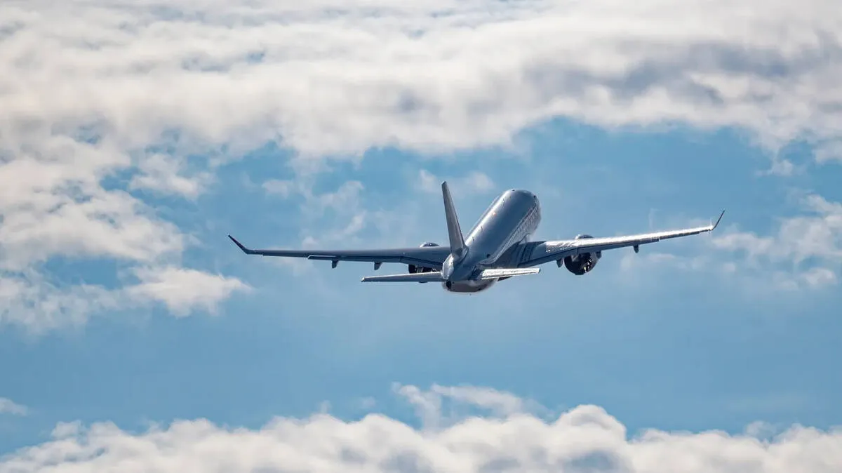 flight-service-