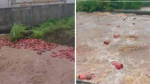 maharashtra-raigad-3000-lpg-gas-cylinders-swept-away-river-flood