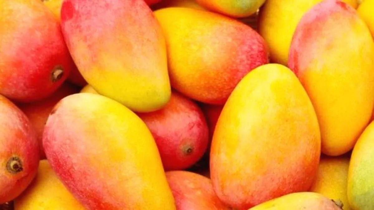 mangos