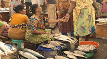 fish-selling-methods-might-change-soon-with-this-government-project