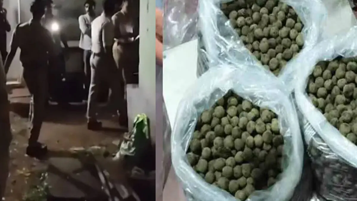 cannabis-candies