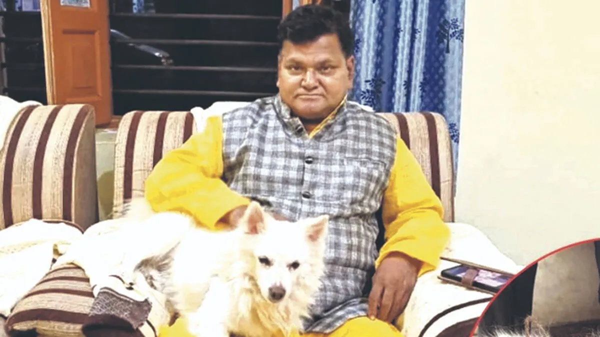 pet-dog