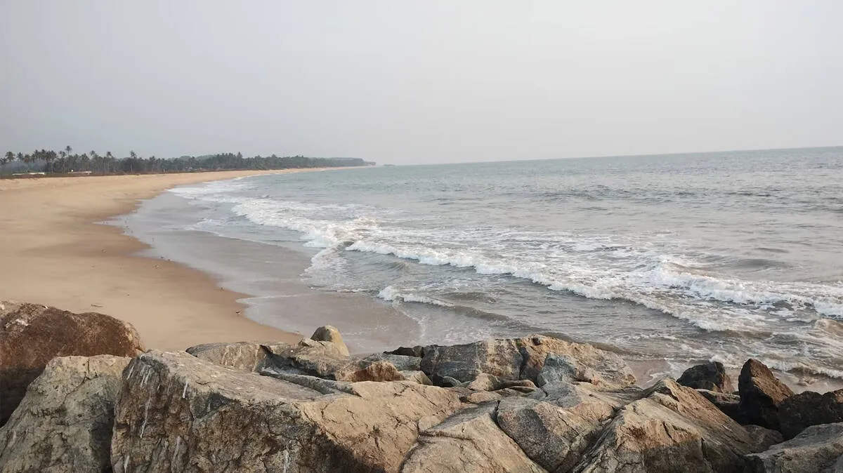 nellikunnu-beach