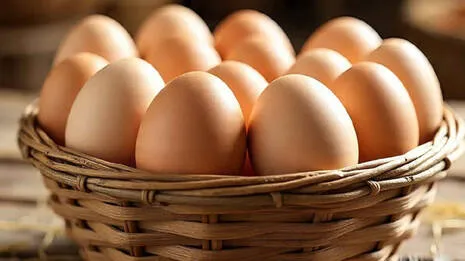egg.1.3940514
