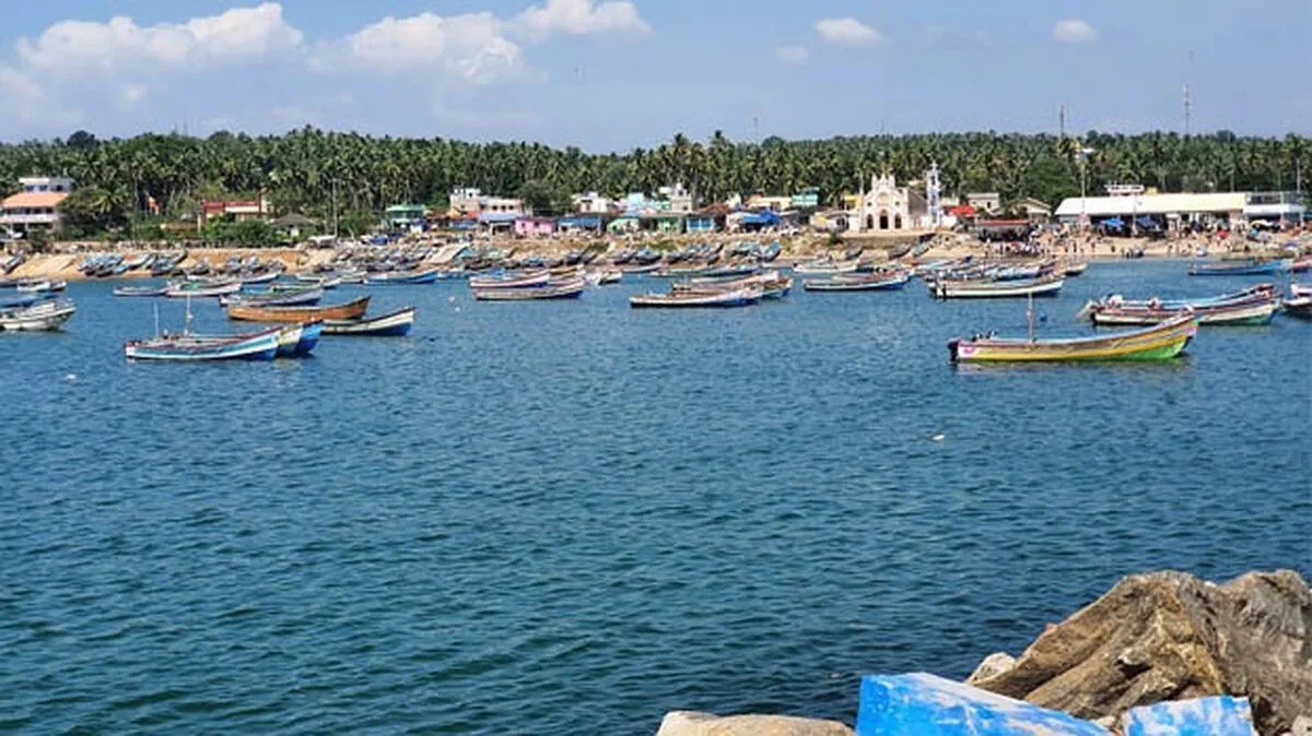 vizinjam