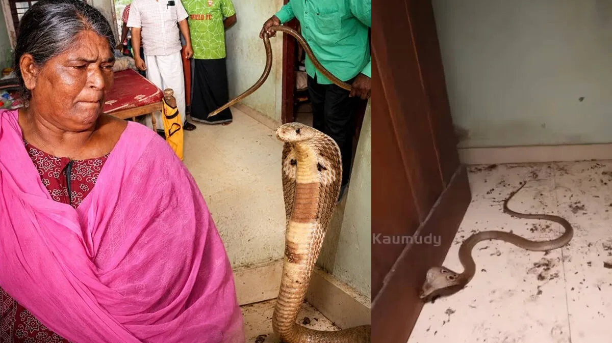 snake-master