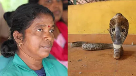 snake-rescue.1.3946983