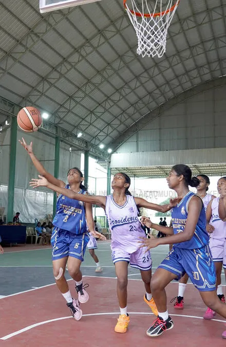 basket