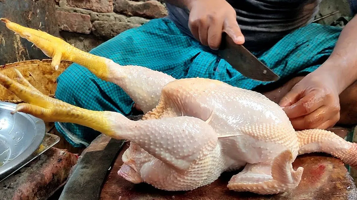 chicken