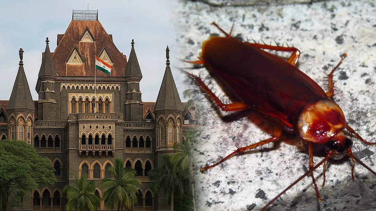 highcourt-order