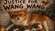 china-dog-cruelty-wang-wang-protest-censorship-explainer