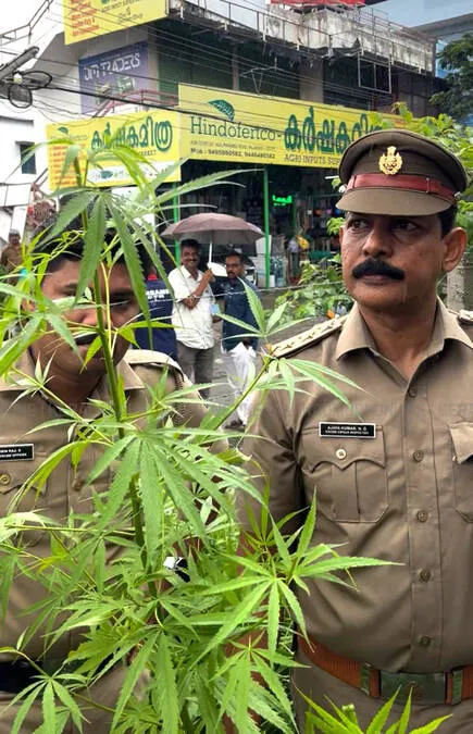 kanjav