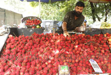 rambutan