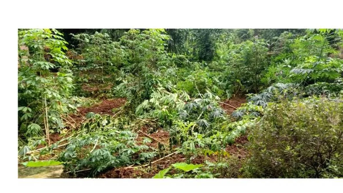 vallamkulam