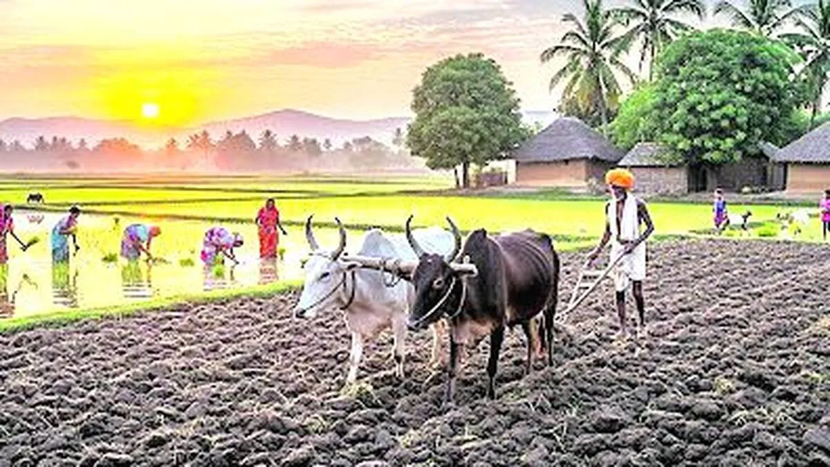 farmer farmer