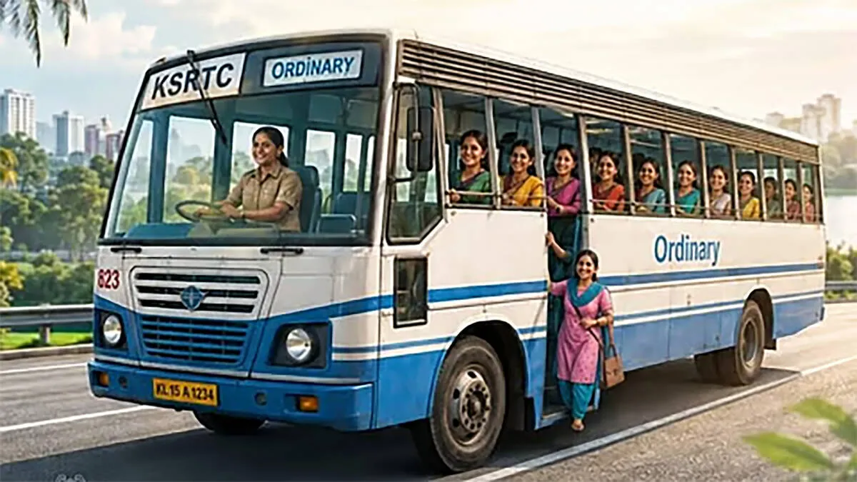 bus bus