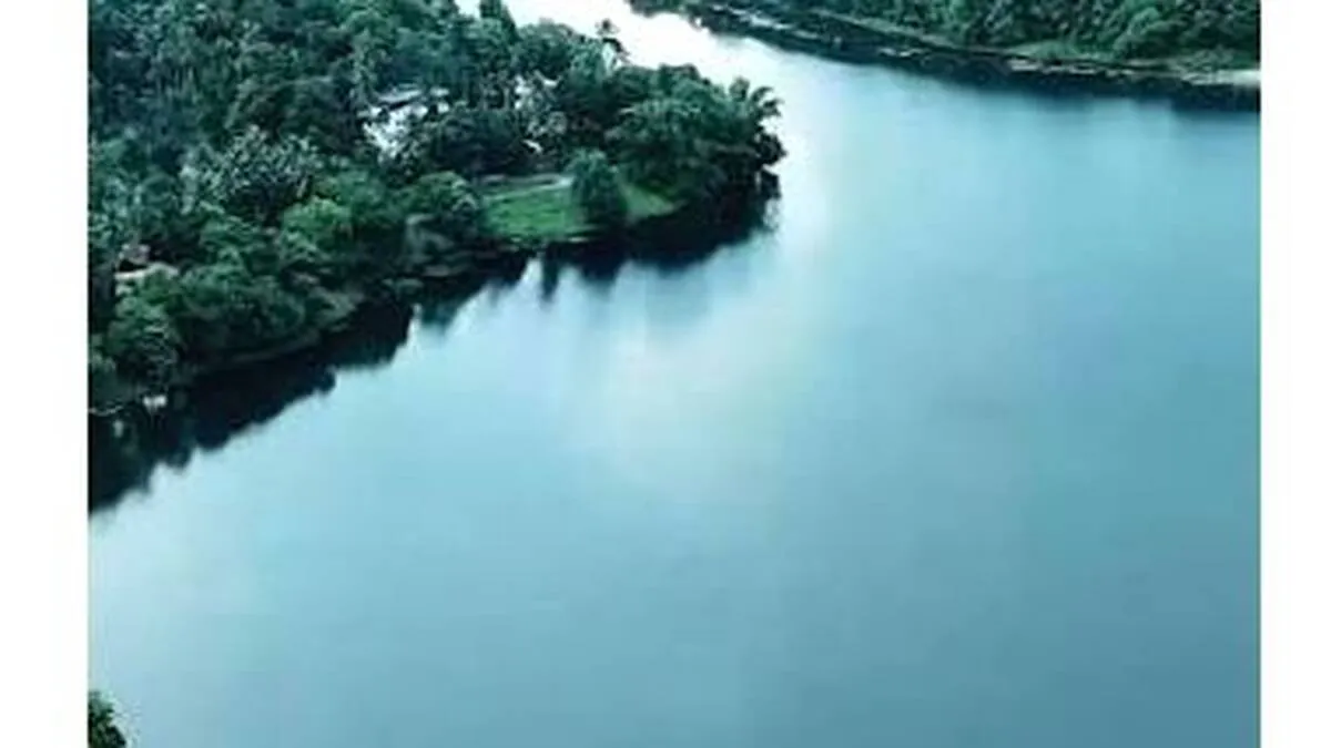 s s