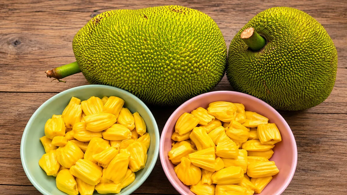jack-fruit- jack-fruit-