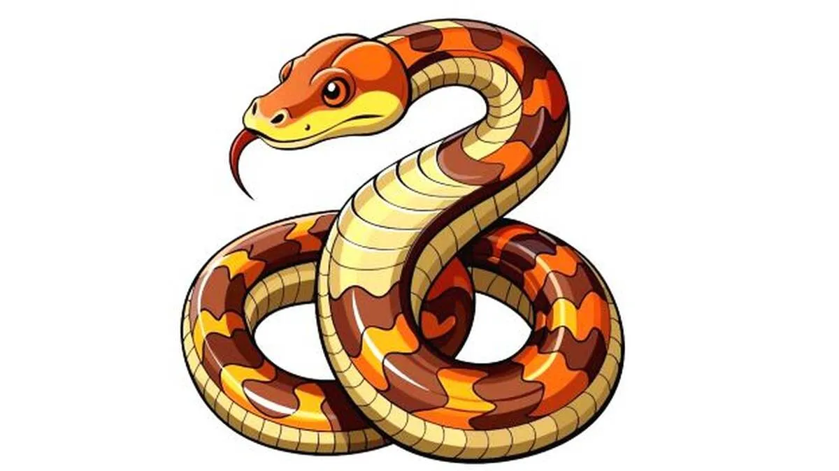 c c