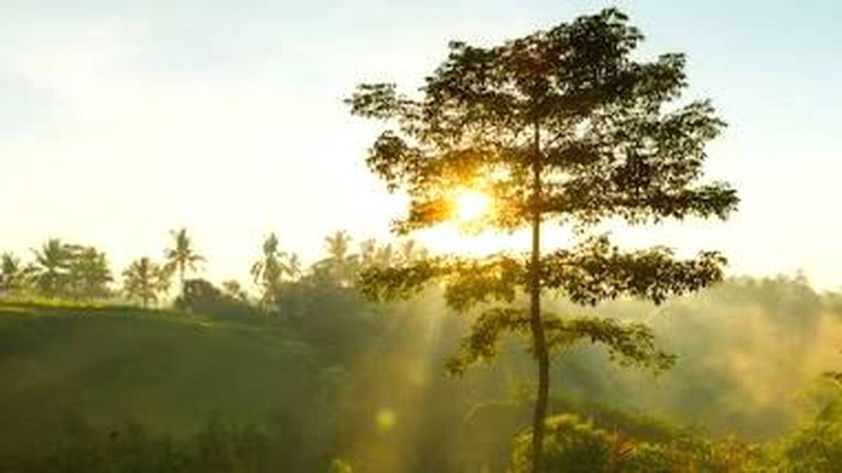 aa