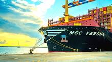 msc