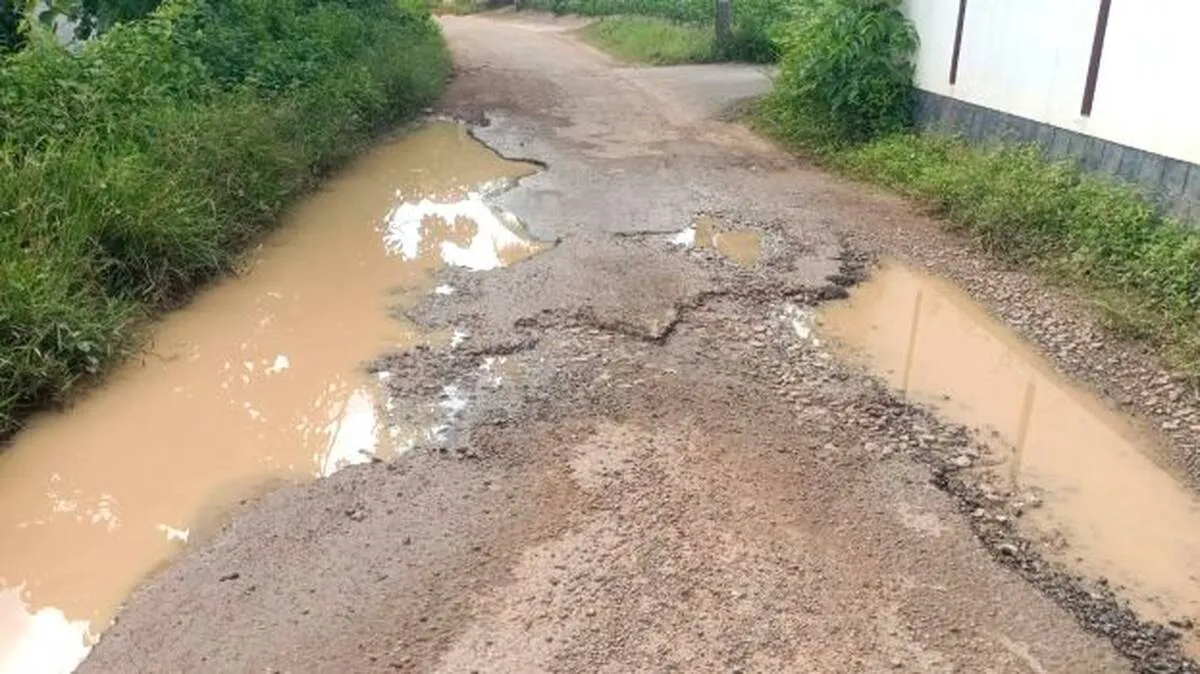 vandithadamrod