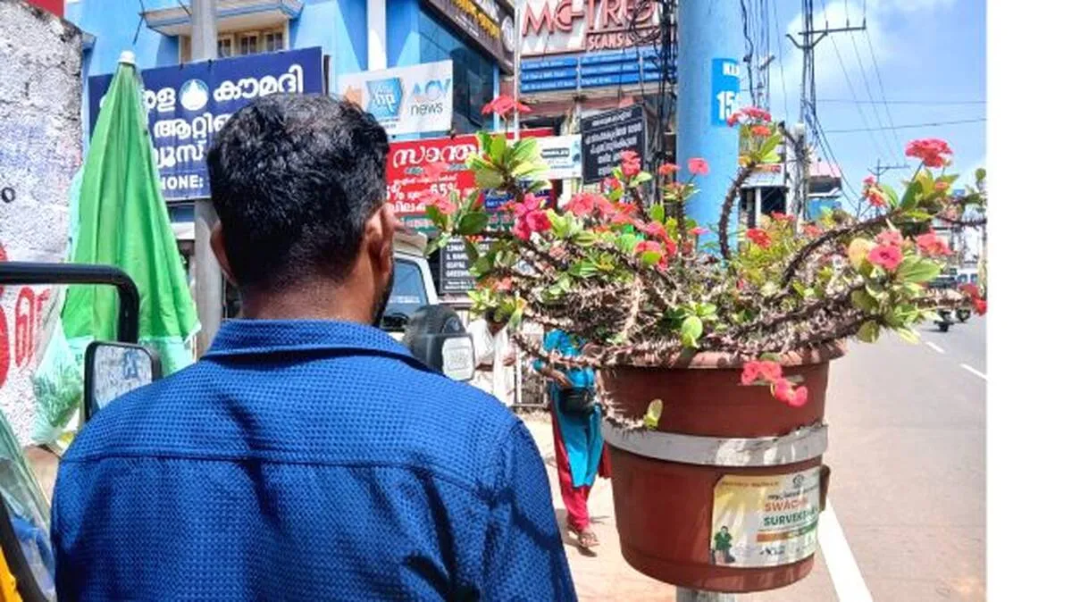 mulchadi mulchadi