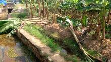vazhanashippichha