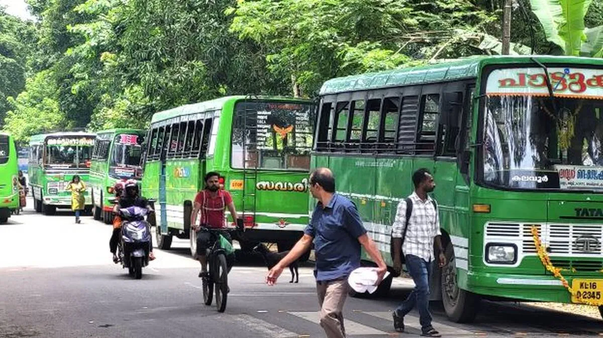 bus bus