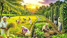 farmers-day