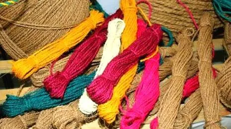 coir-one.1787933643