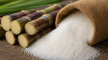 sugar
