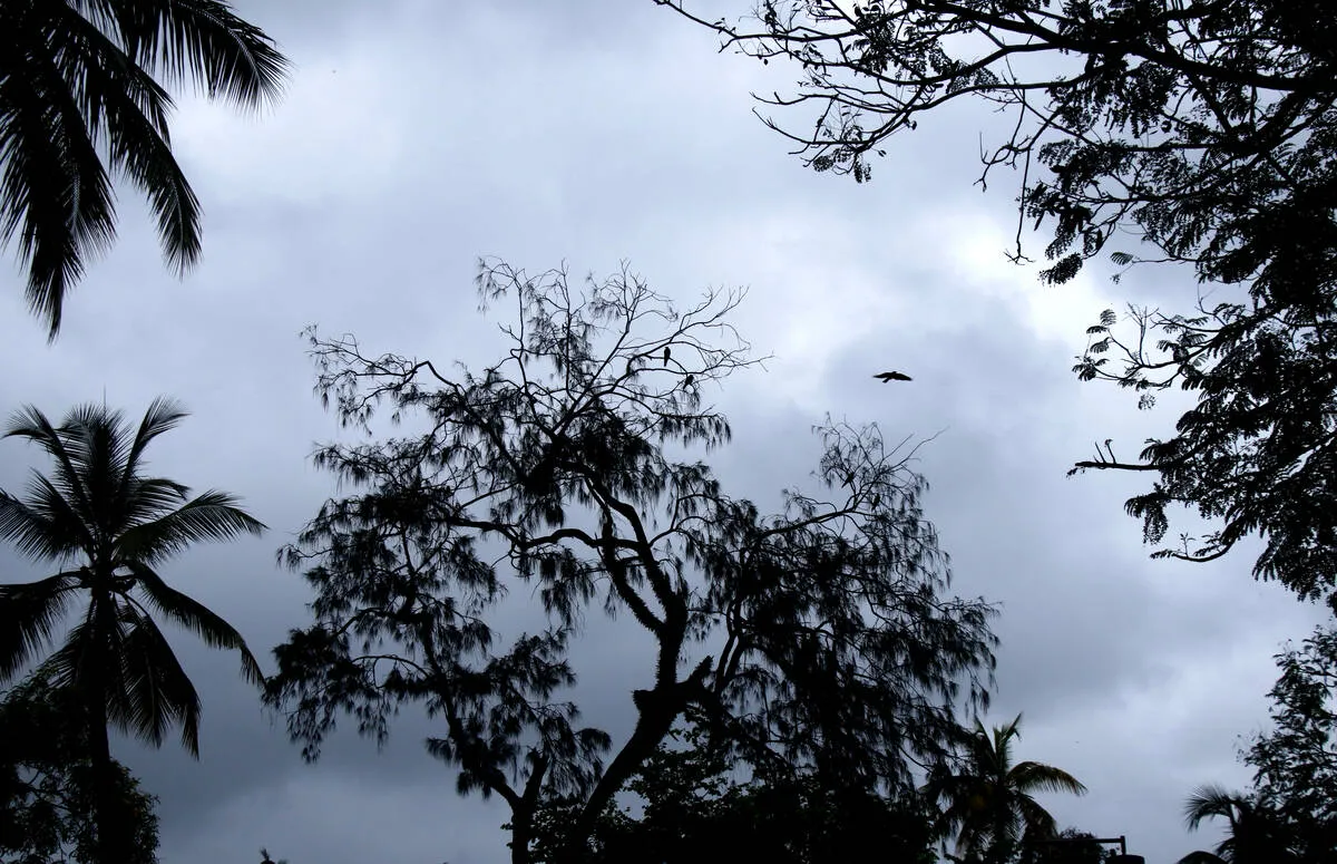 rain