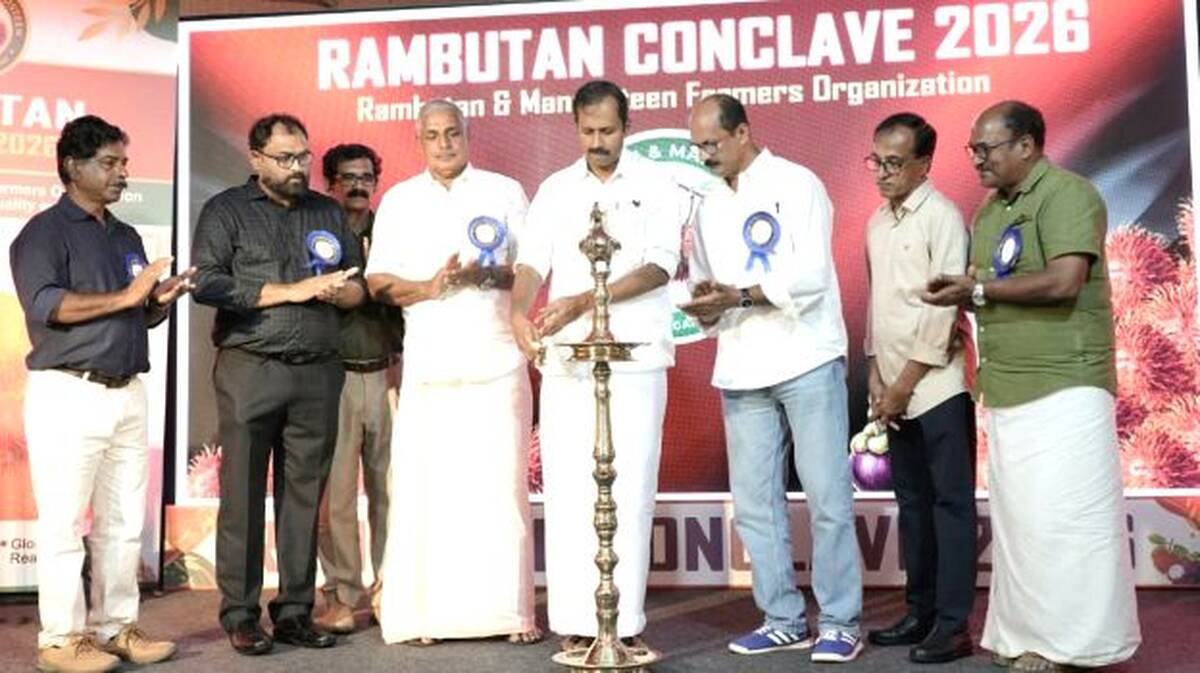 ramboottan-conclave